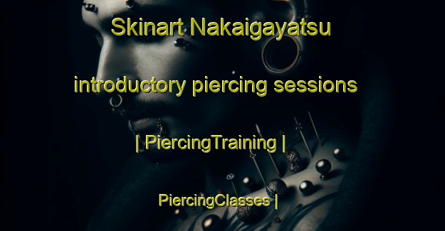 Skinart Nakaigayatsu introductory piercing sessions | PiercingTraining | PiercingClasses | SkinartTraining-Japan